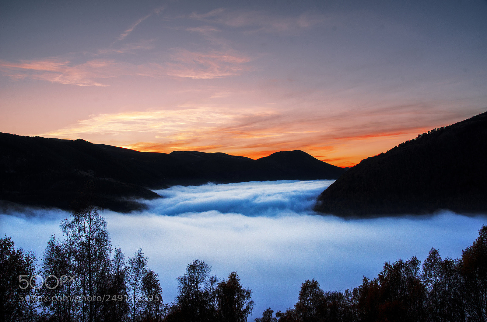 Nikon D7000 sample photo. Fog in the valley photography