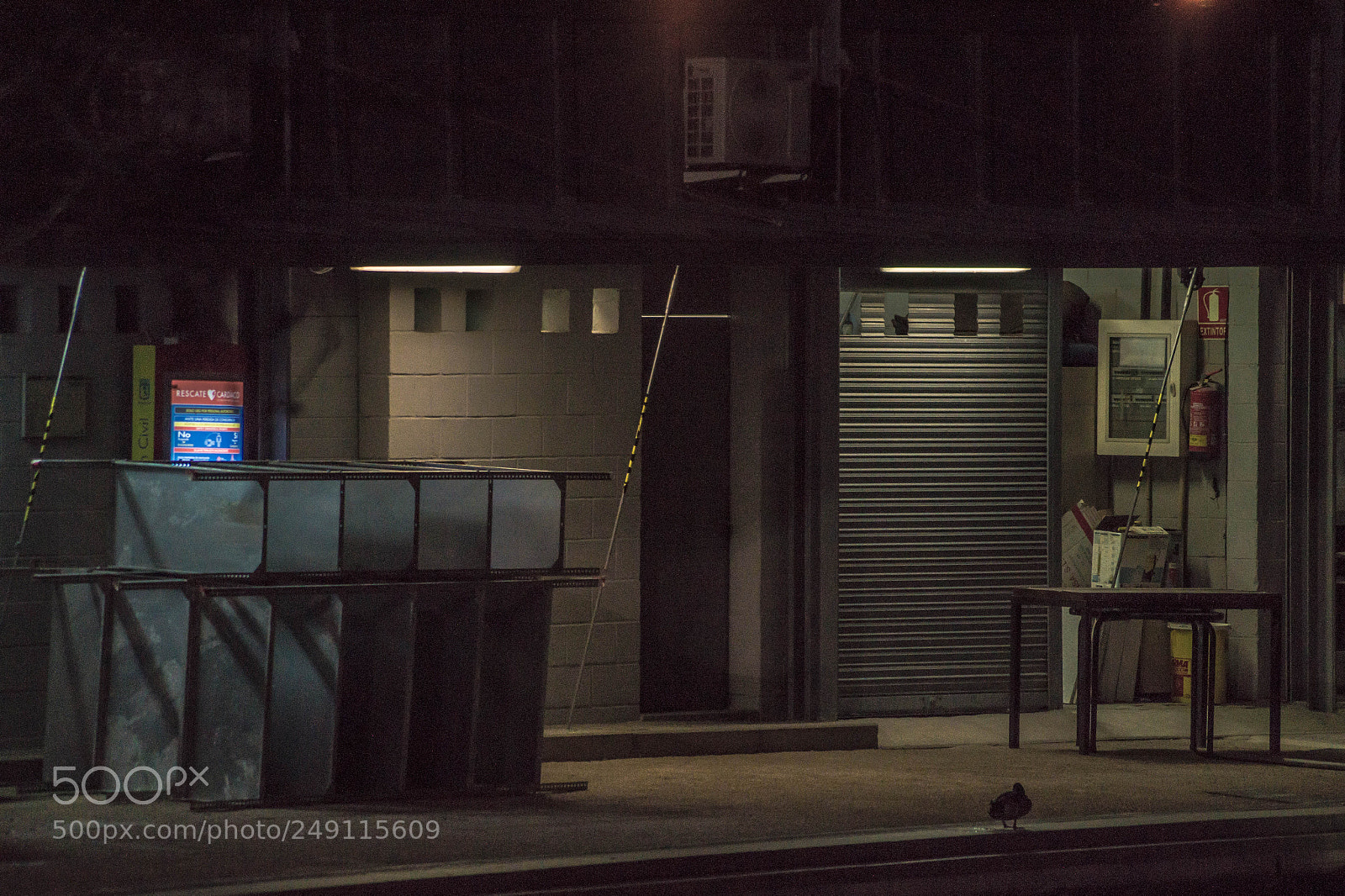 Sony SLT-A58 sample photo. The bird of urban photography