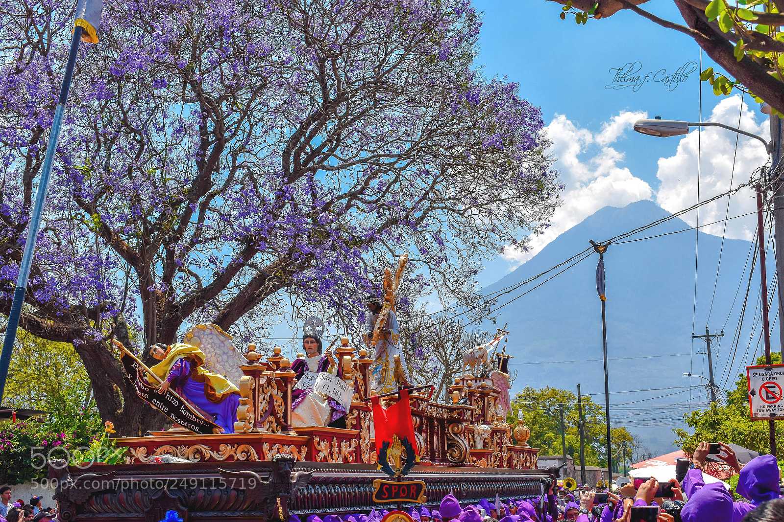 Nikon D5600 sample photo. Procesi n de santa photography