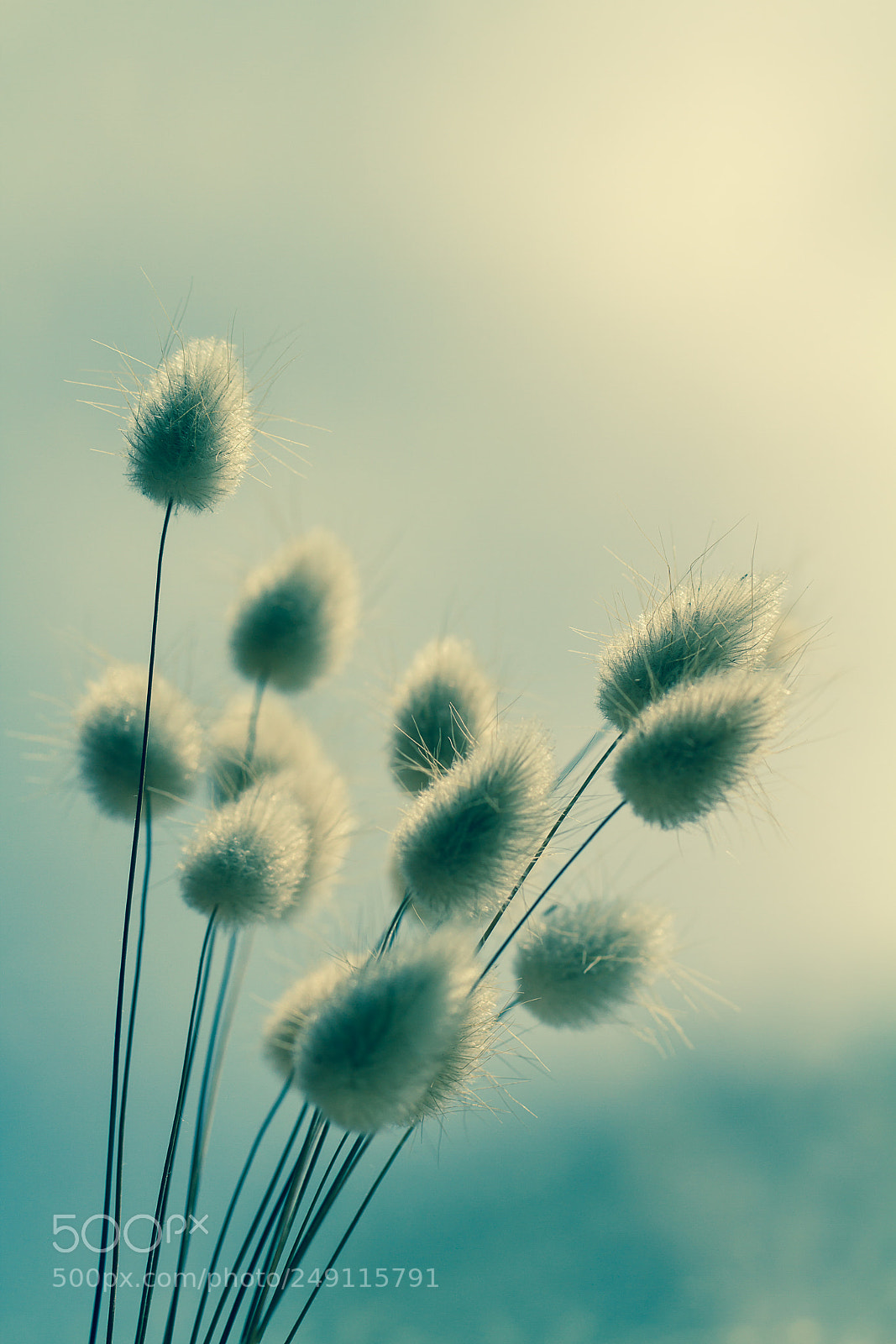 Canon EOS 7D sample photo. Img photography