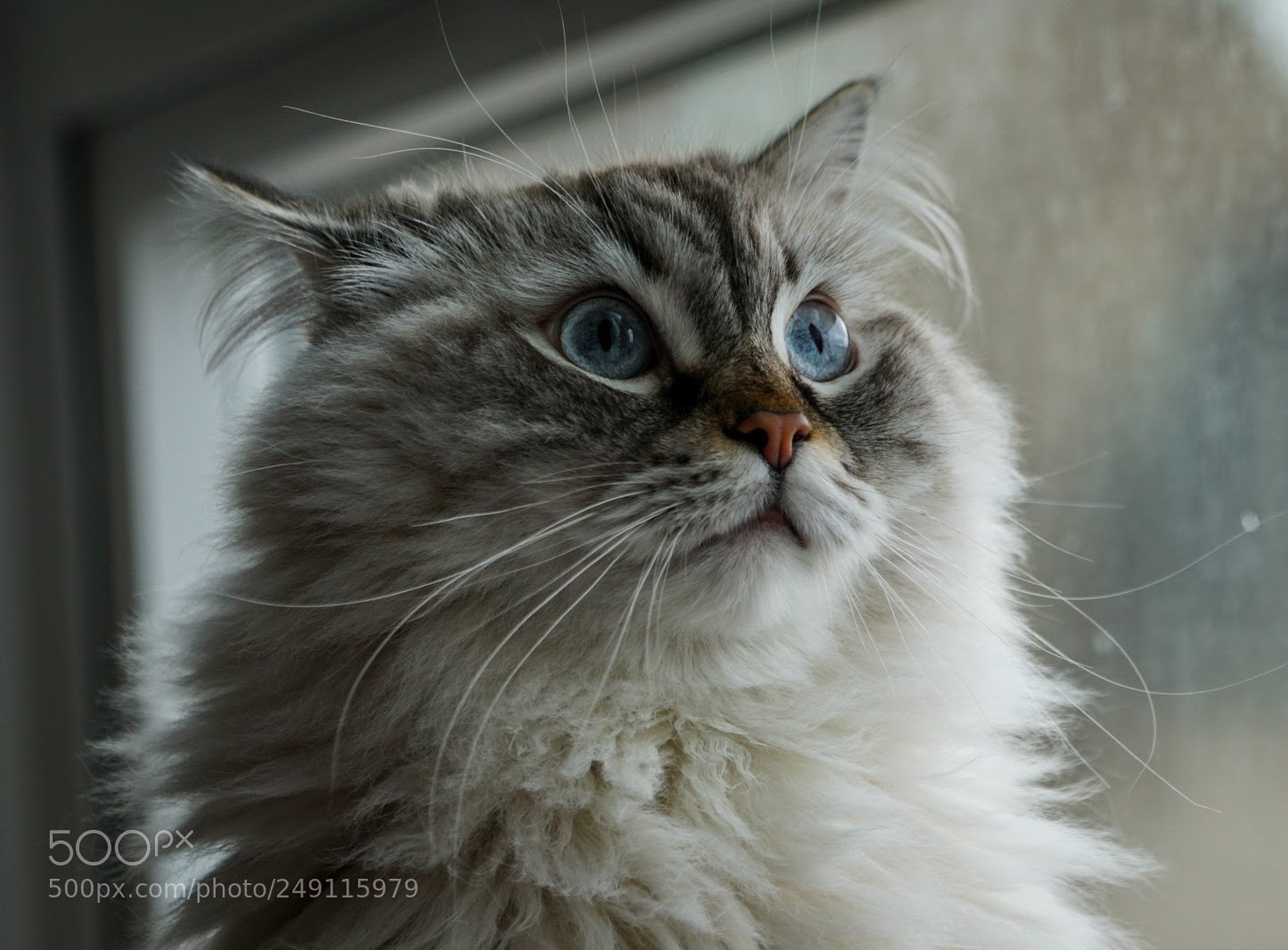 Sony a6000 sample photo. Deep in thought photography
