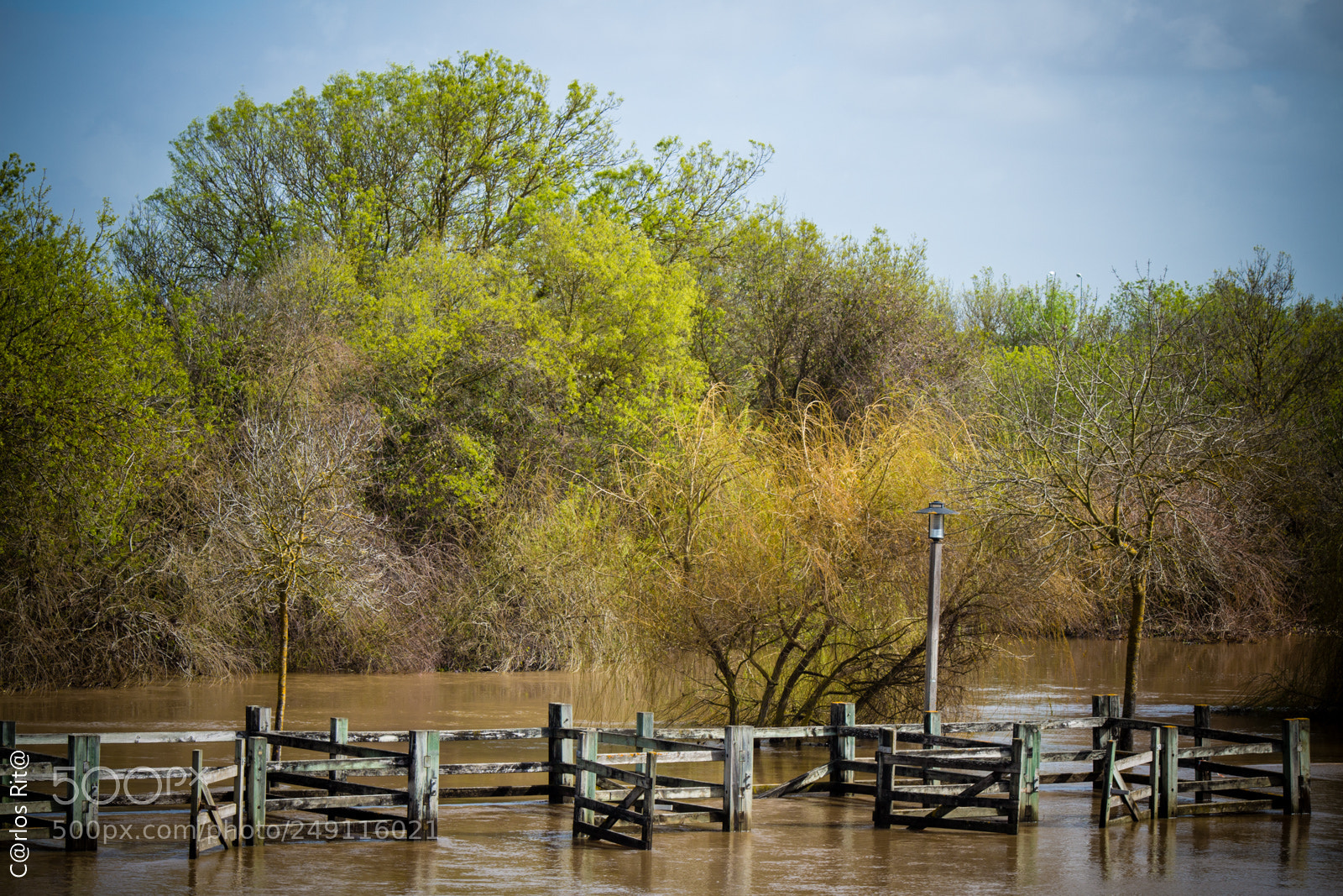 Canon EOS 700D (EOS Rebel T5i / EOS Kiss X7i) sample photo. Flood photography