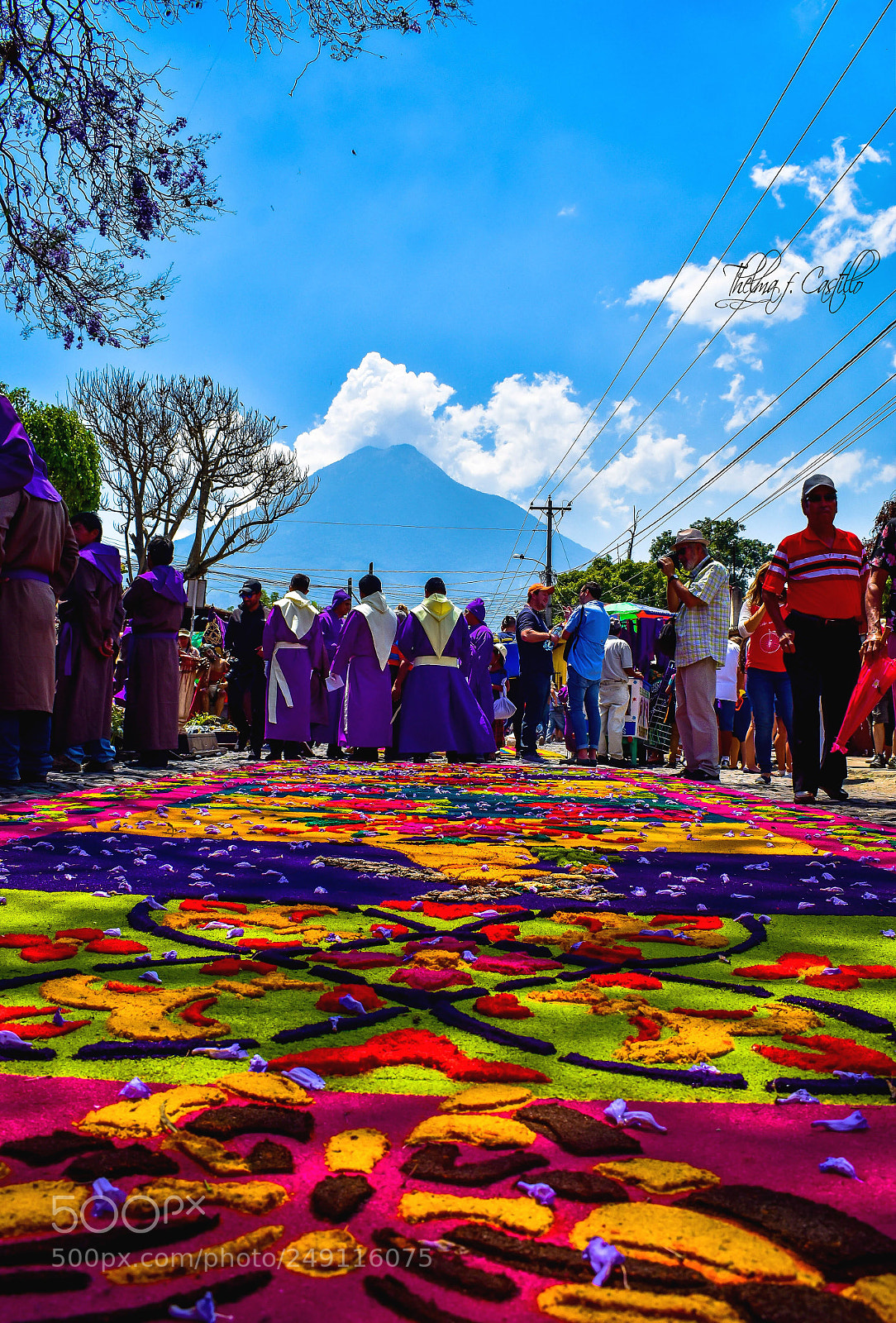 Nikon D5600 sample photo. Alfombra de aserrin y photography