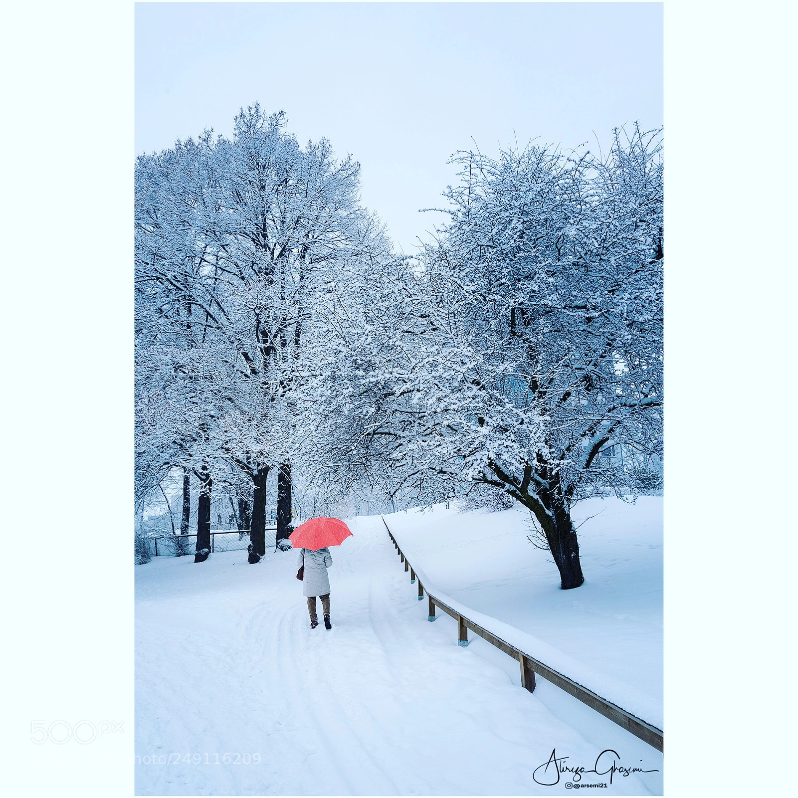 Nikon D810 sample photo. The red umbrella photography