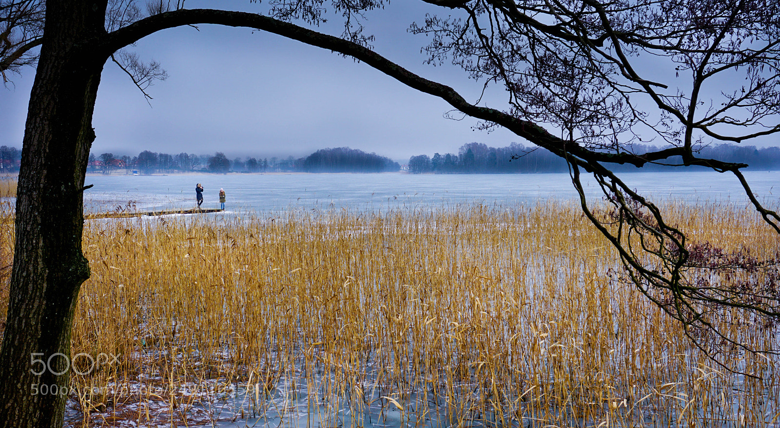 Sony a6000 sample photo. Cold day photography