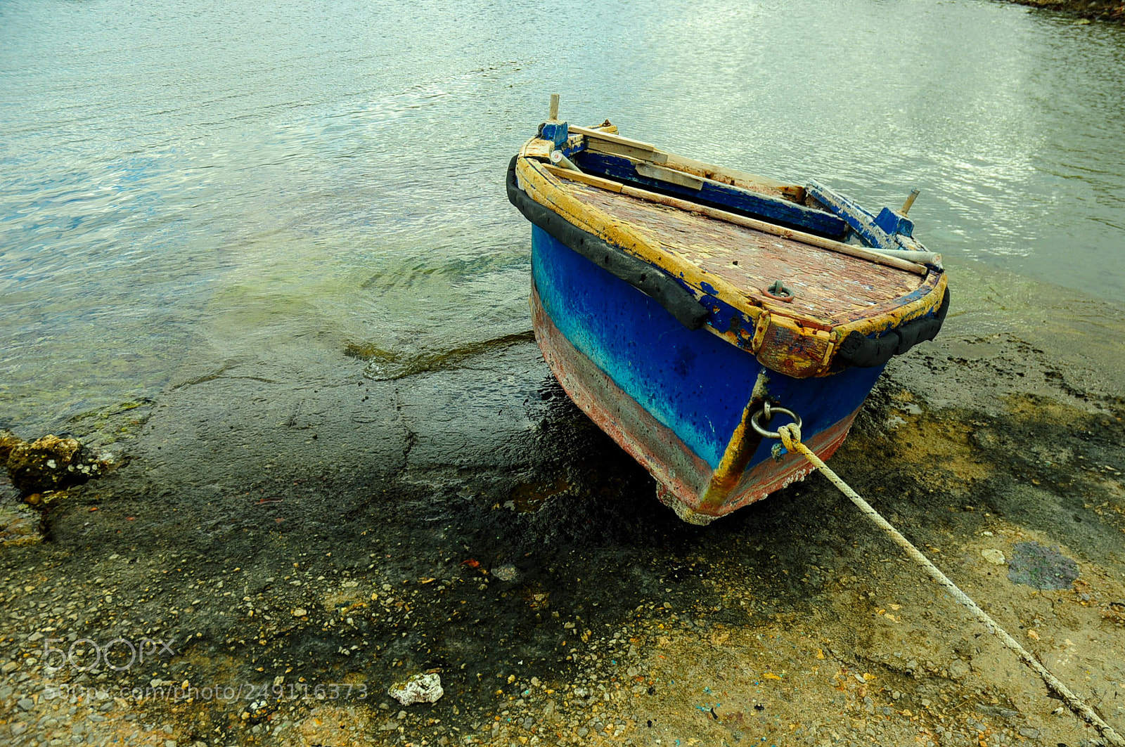 Nikon D90 sample photo. Waiting for the next photography