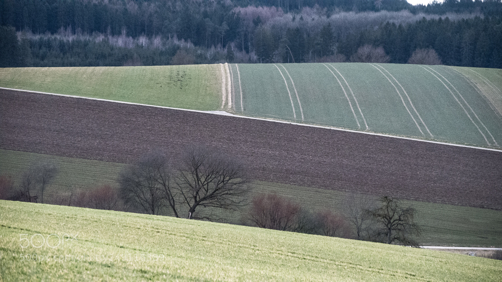 Panasonic DMC-G70 sample photo. Rural landscape photography