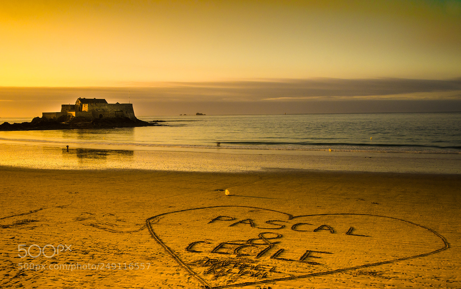 Nikon D7000 sample photo. Declaration of love photography