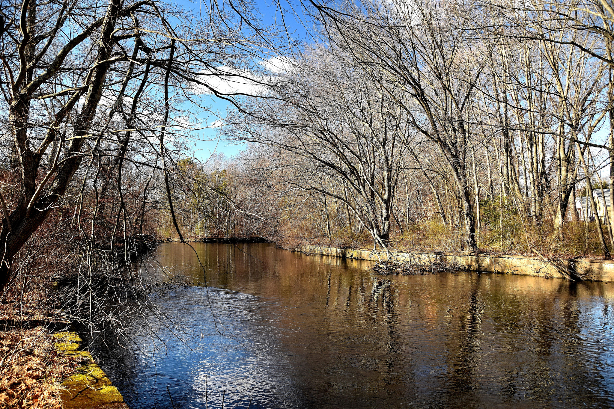 Sigma 18-250mm F3.5-6.3 DC Macro OS HSM sample photo. River view photography