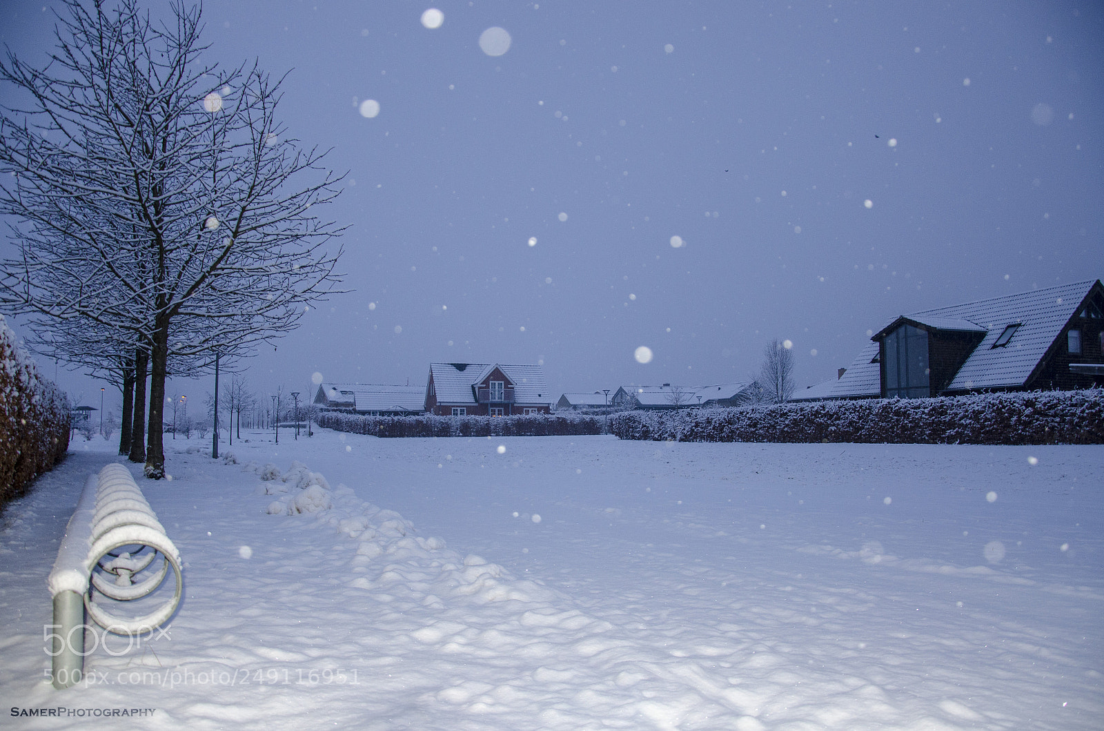 Nikon D7000 sample photo. Heavy snow. photography