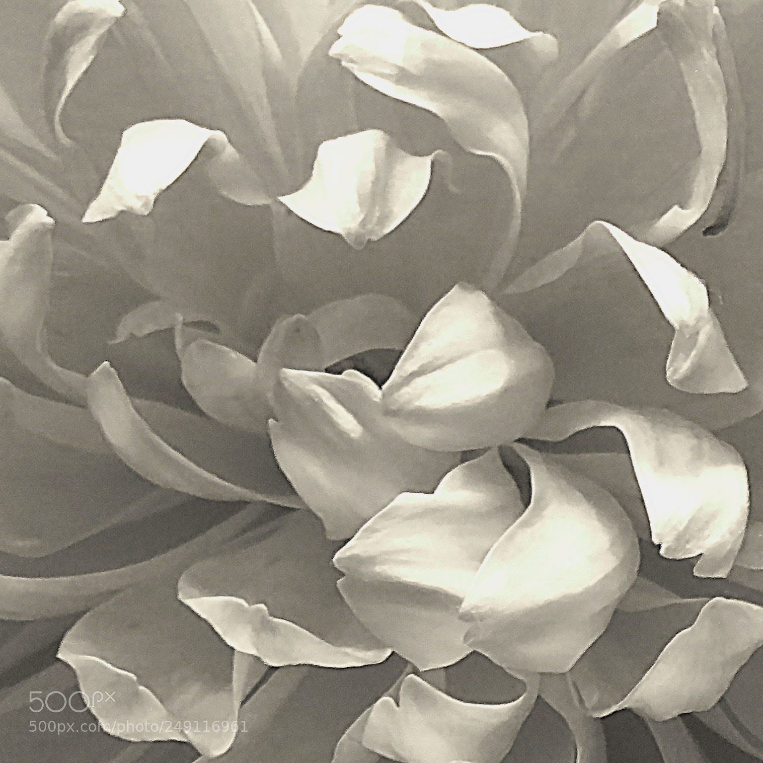 Canon PowerShot SX720 HS sample photo. White folds photography