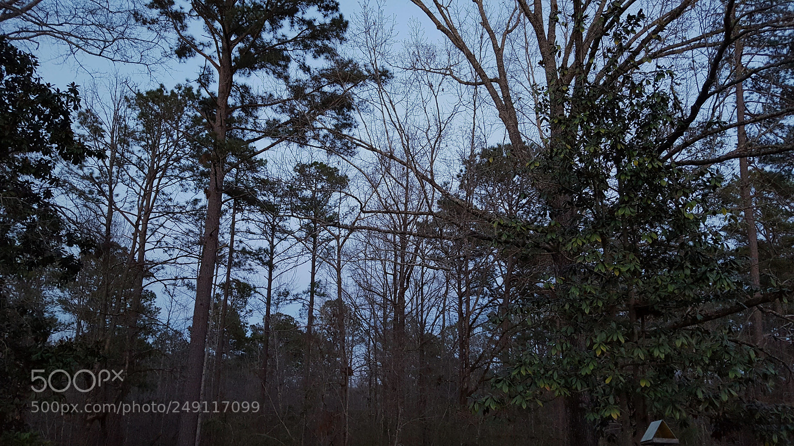 Samsung Galaxy S6 sample photo. Blue dusk before dark photography