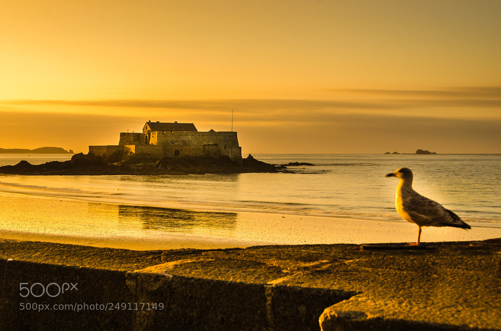 Nikon D7000 sample photo. Seagull watching the sea photography