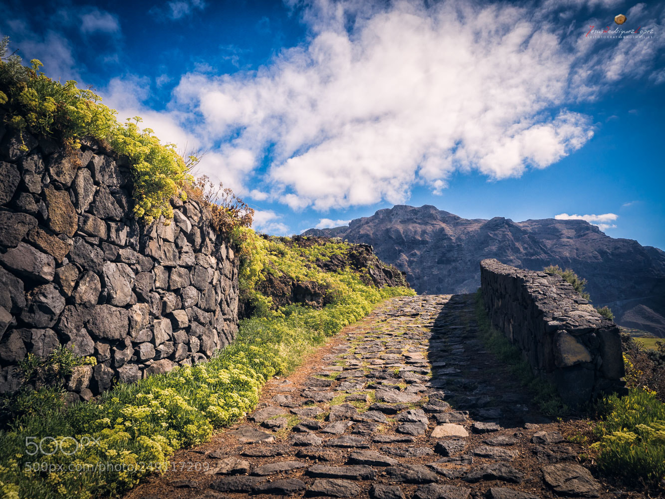 Olympus OM-D E-M1 Mark II sample photo. Entre piedras photography