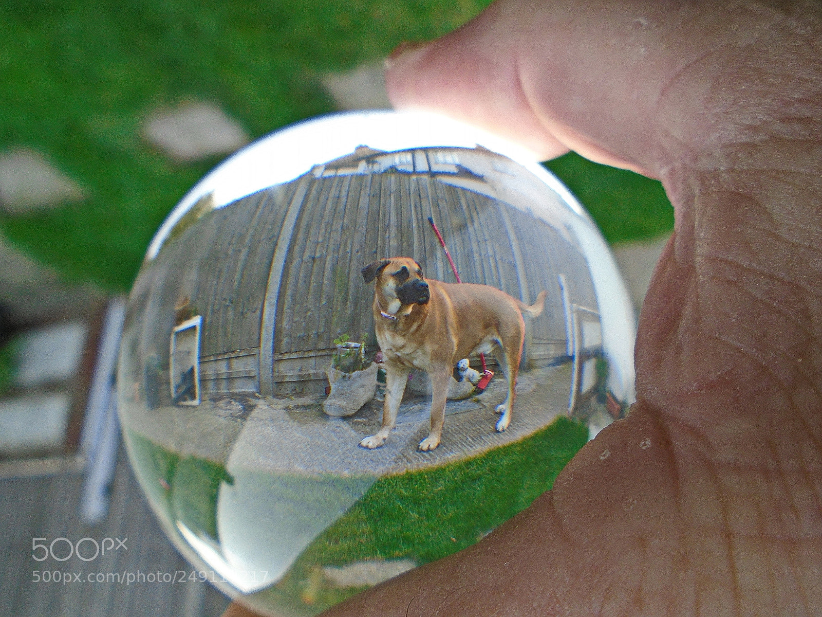 Sony Cyber-shot DSC-W800 sample photo. Mutly glass ball photography photography