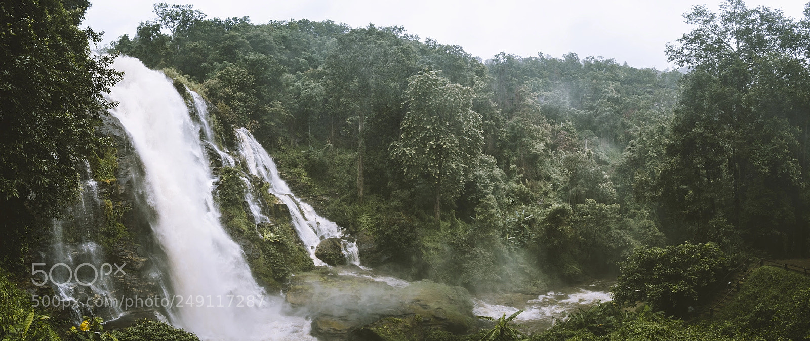Fujifilm X-Pro1 sample photo. Doi inthanon, thailand photography