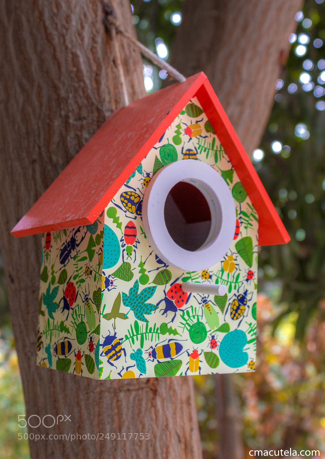 Canon EOS 1200D (EOS Rebel T5 / EOS Kiss X70 / EOS Hi) sample photo. Bird house photography