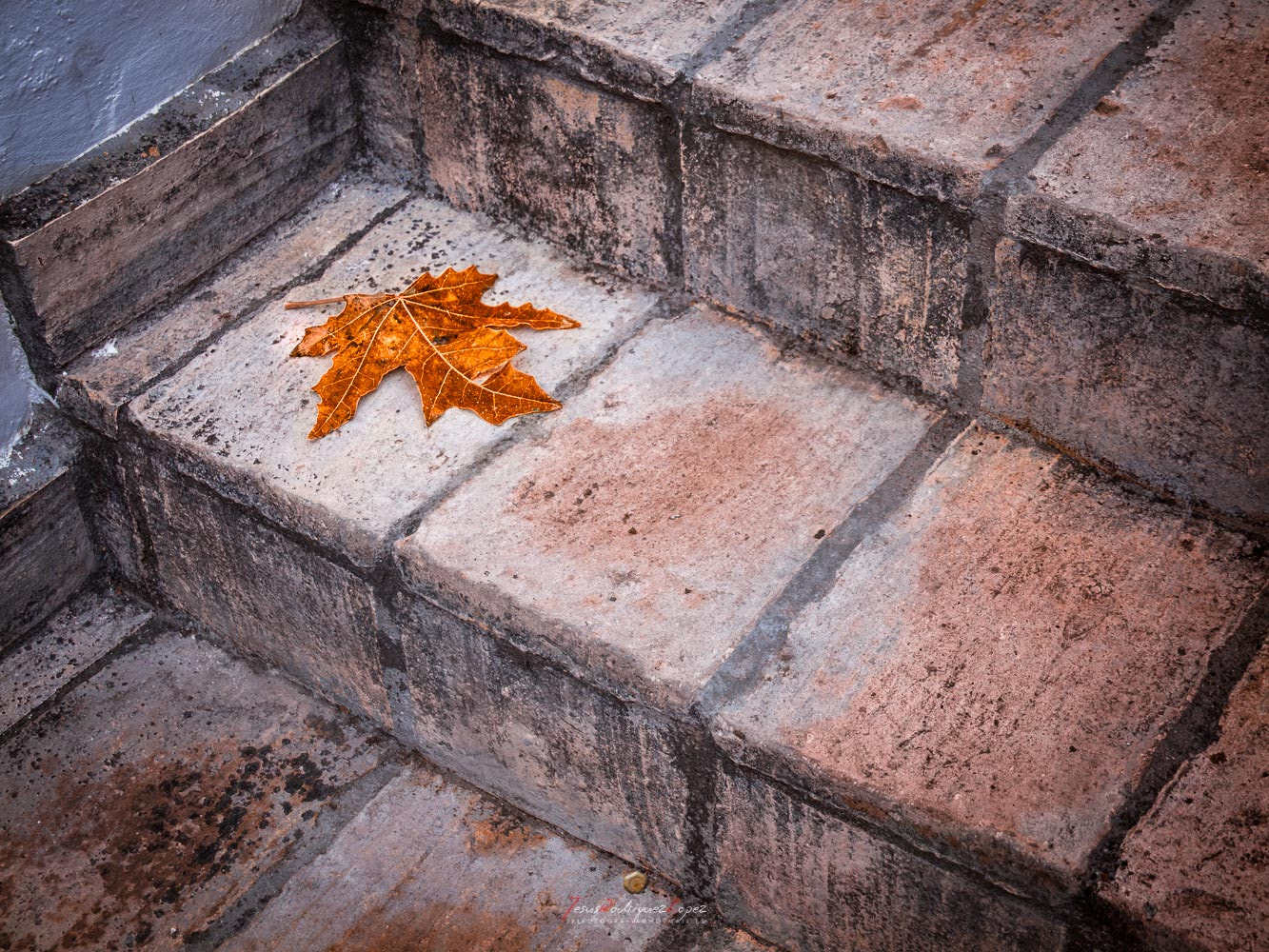 Olympus E-5 sample photo. La última photography
