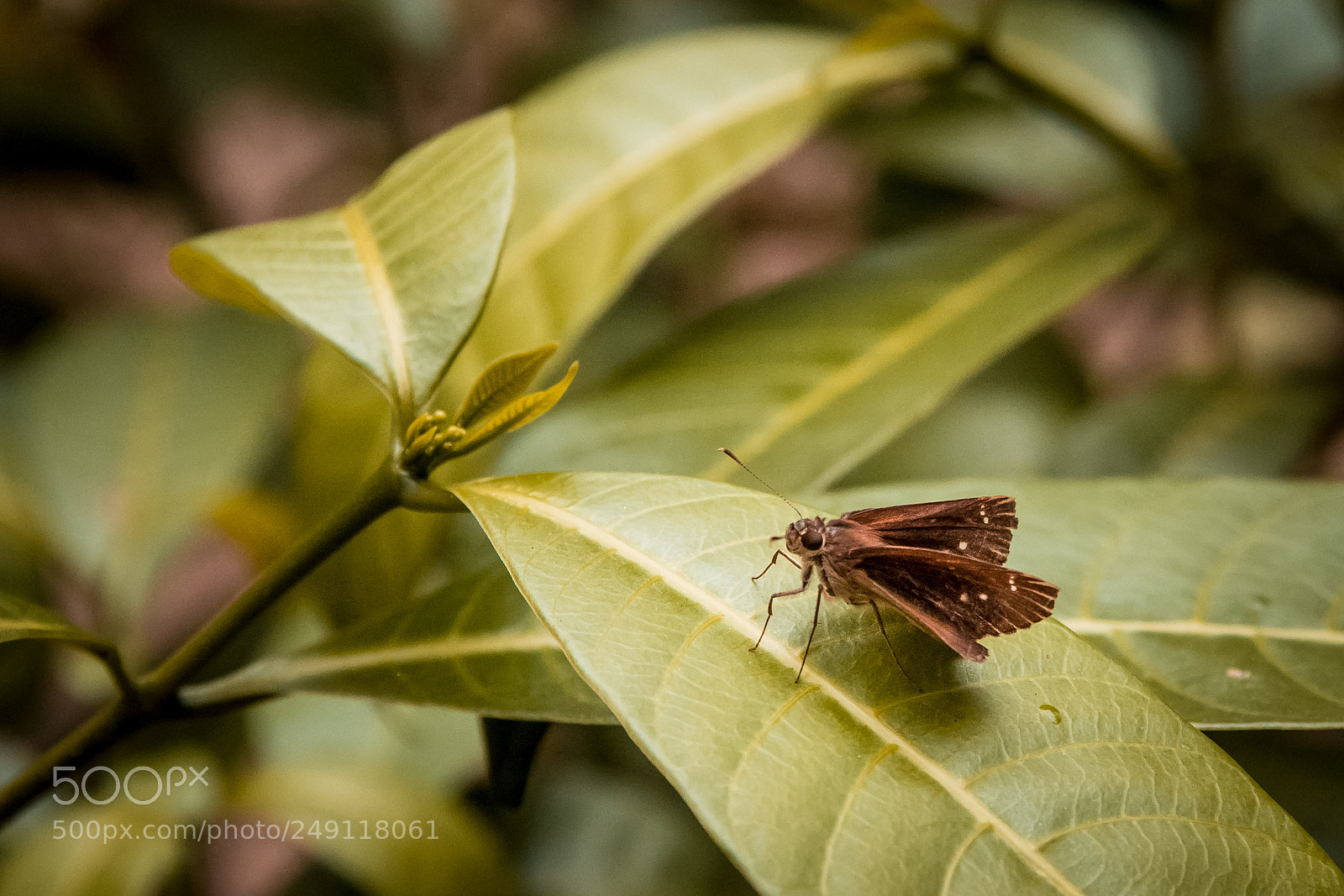 Nikon D7100 sample photo. Untitled photography