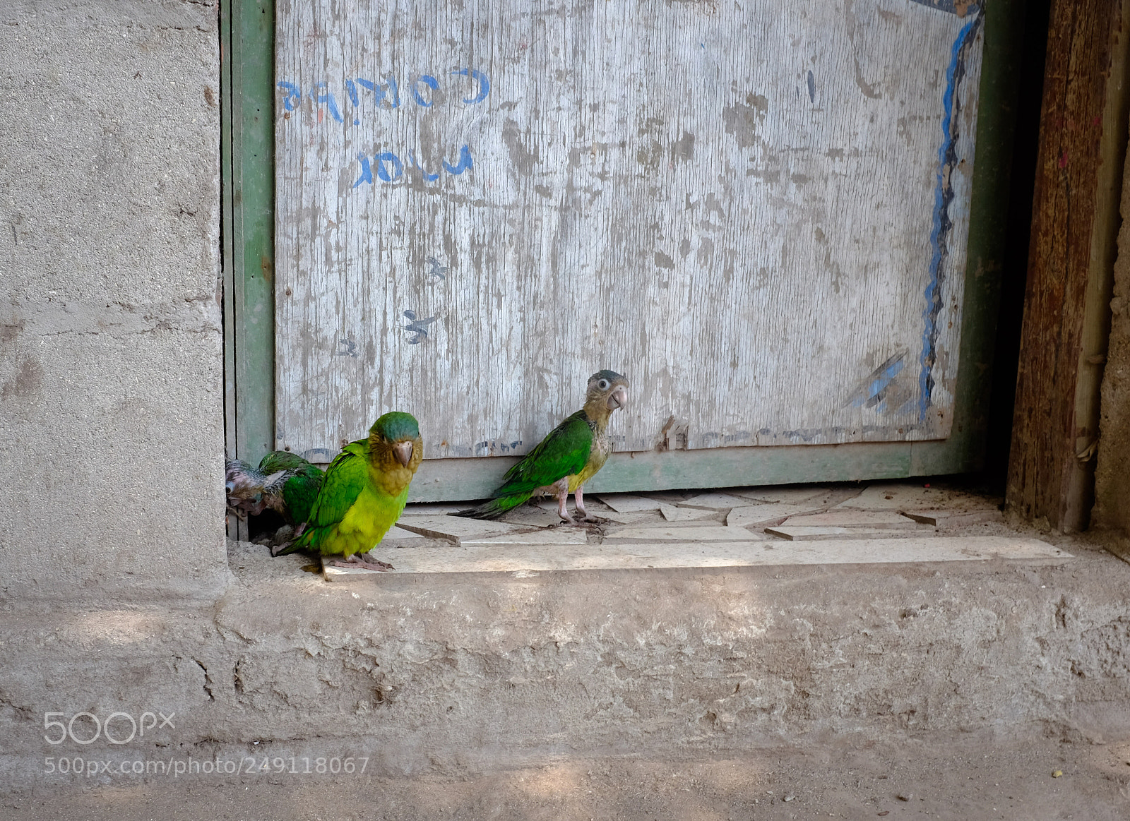 Fujifilm X100T sample photo. Cartagena photography