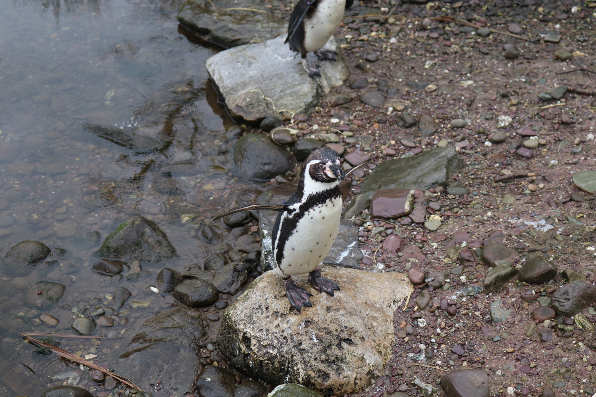 Canon EOS 77D (EOS 9000D / EOS 770D) sample photo. These guys were having fun photography