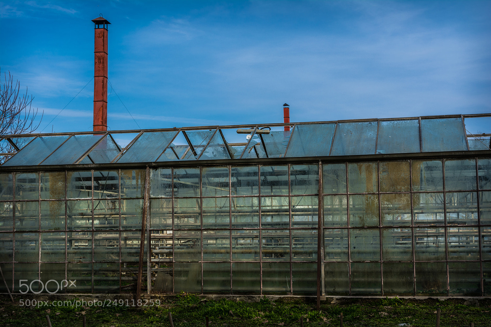 Nikon D5200 sample photo. Abandoned greenhouses photography
