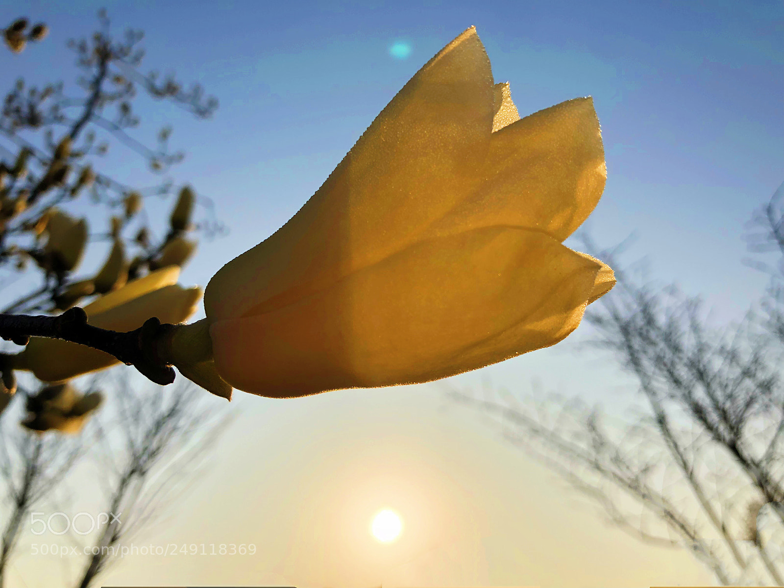 Apple iPhone X sample photo. Untitled photography