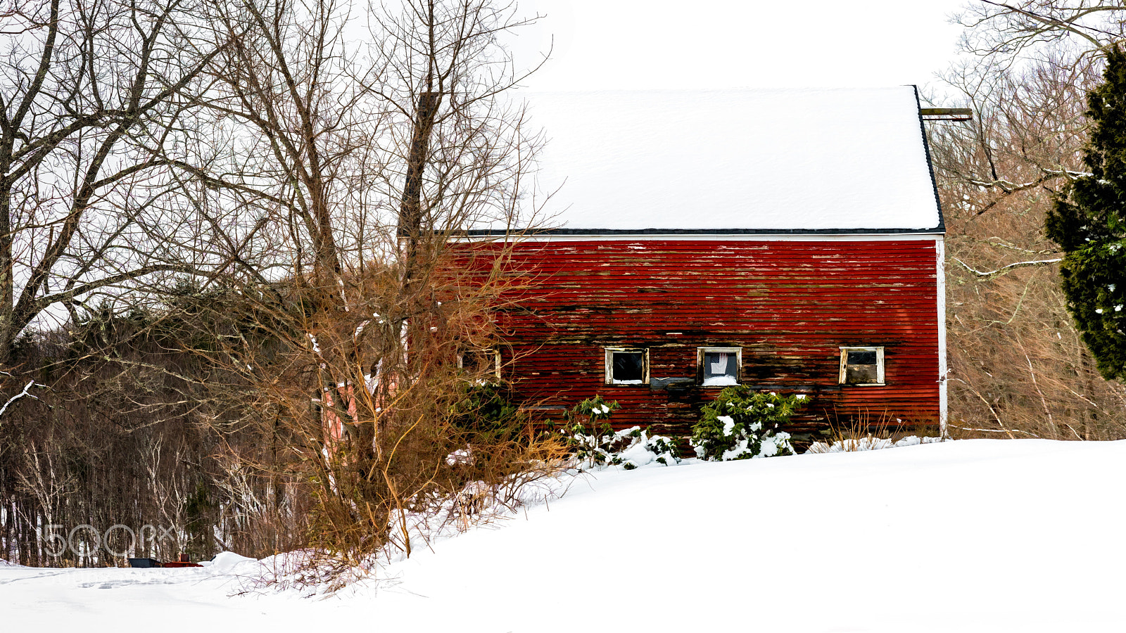 Nikon D800 sample photo. Rural decay - snow photography