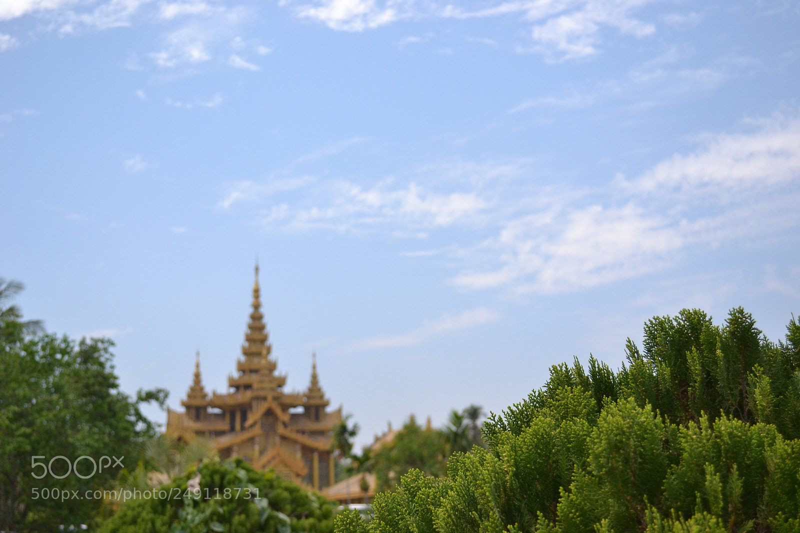 Nikon D3100 sample photo. Bush and palace photography