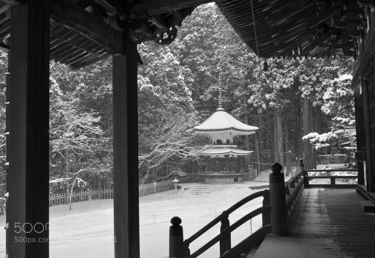 Nikon D7000 sample photo. Daimon temple, koyasan photography