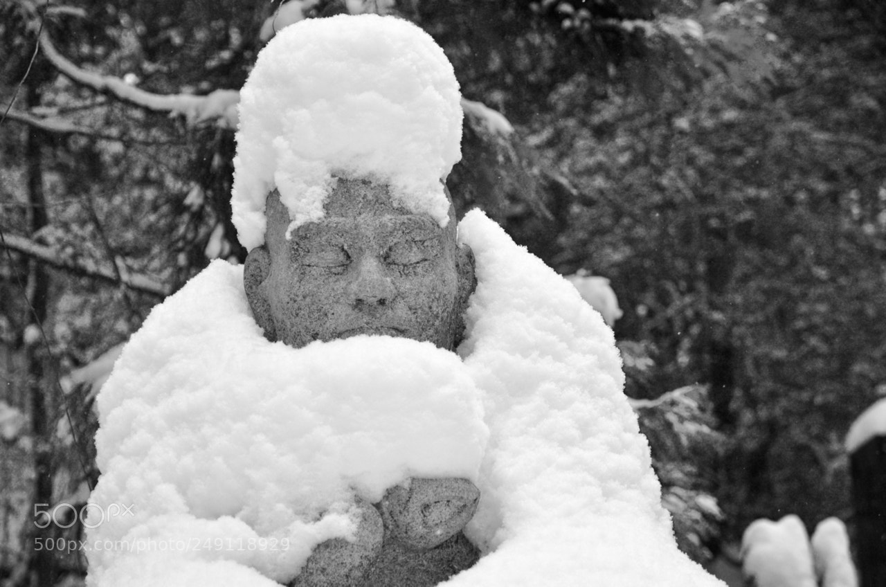 Nikon D7000 sample photo. Okonoin cemetery in winter photography