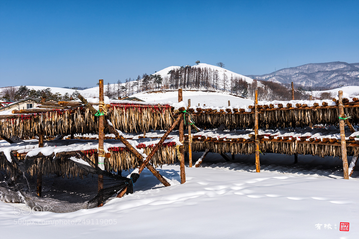 Nikon D810 sample photo. . photography