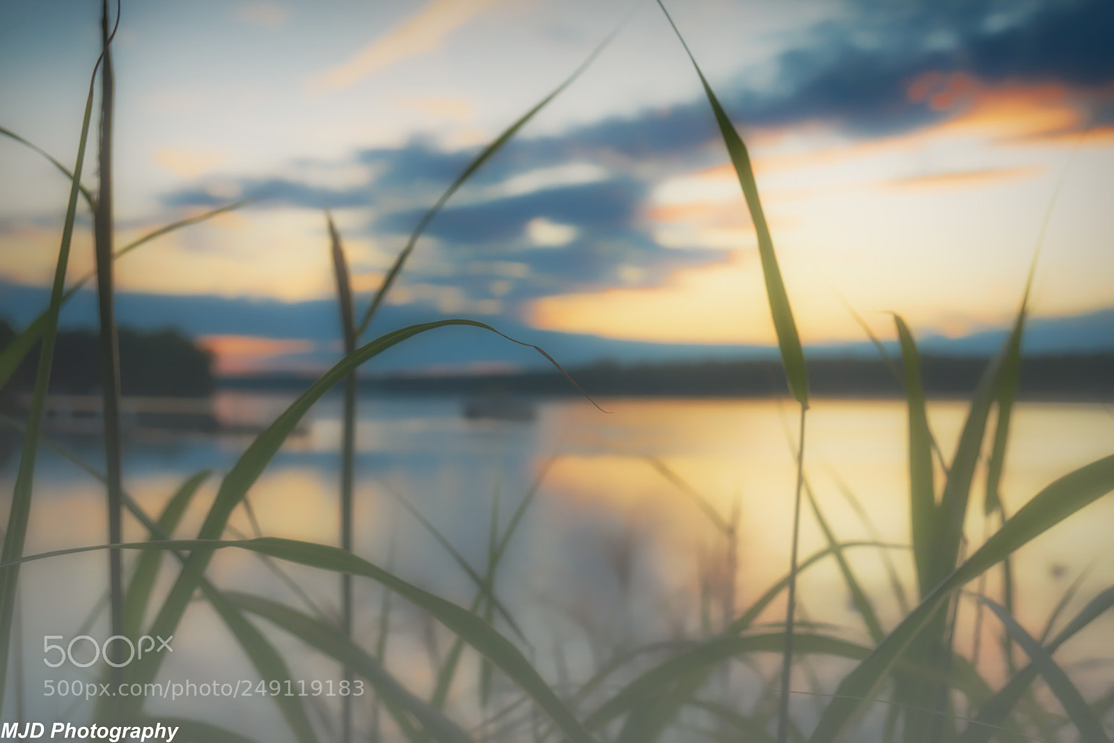 Sony a6300 sample photo. Looking through the grass photography