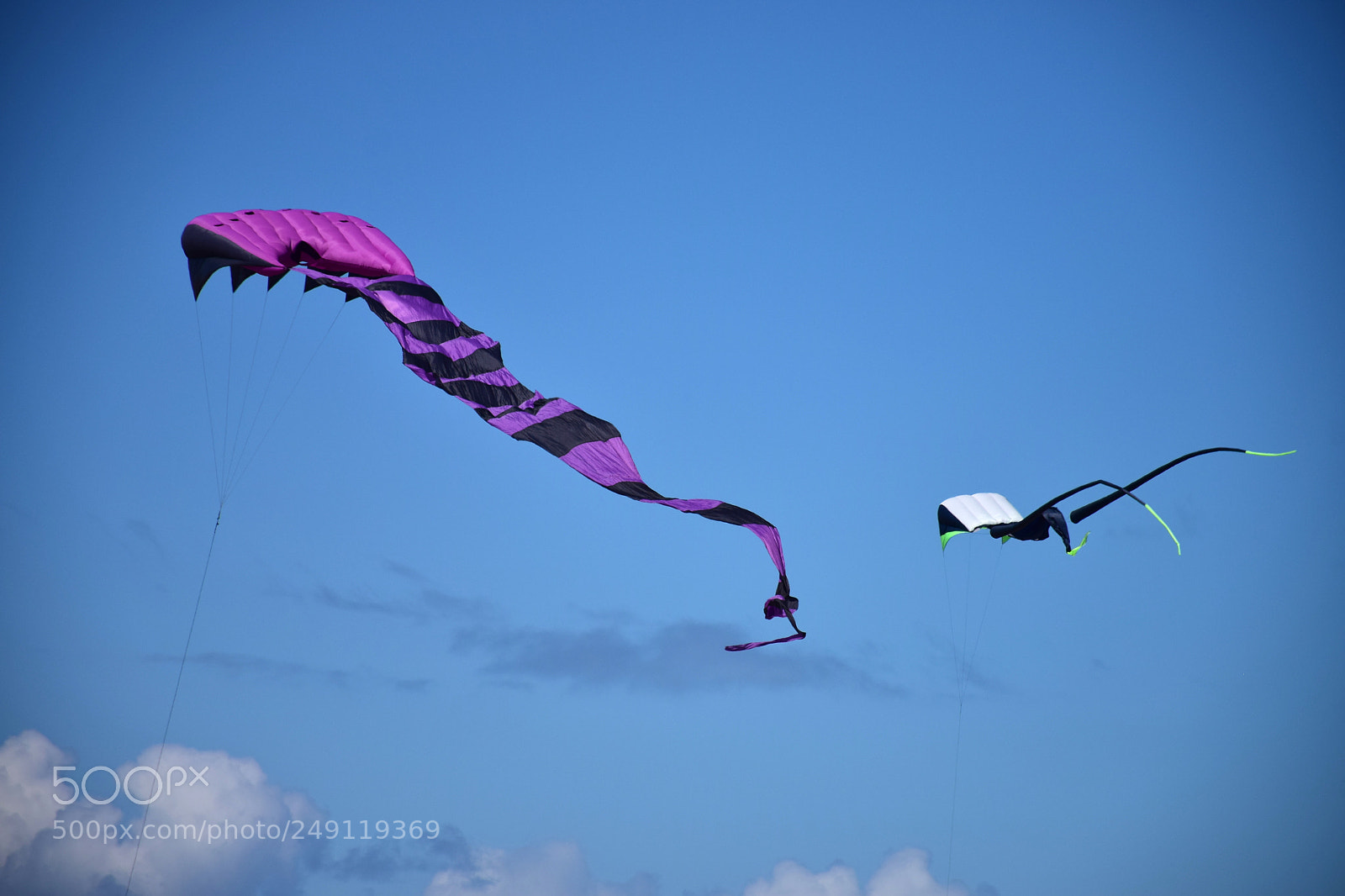Nikon D5300 sample photo. Kites photography