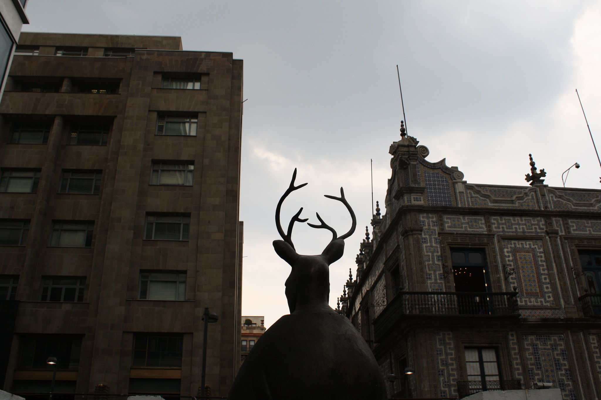 Canon EOS 1000D (EOS Digital Rebel XS / EOS Kiss F) sample photo. Leonora carrington cdmx photography
