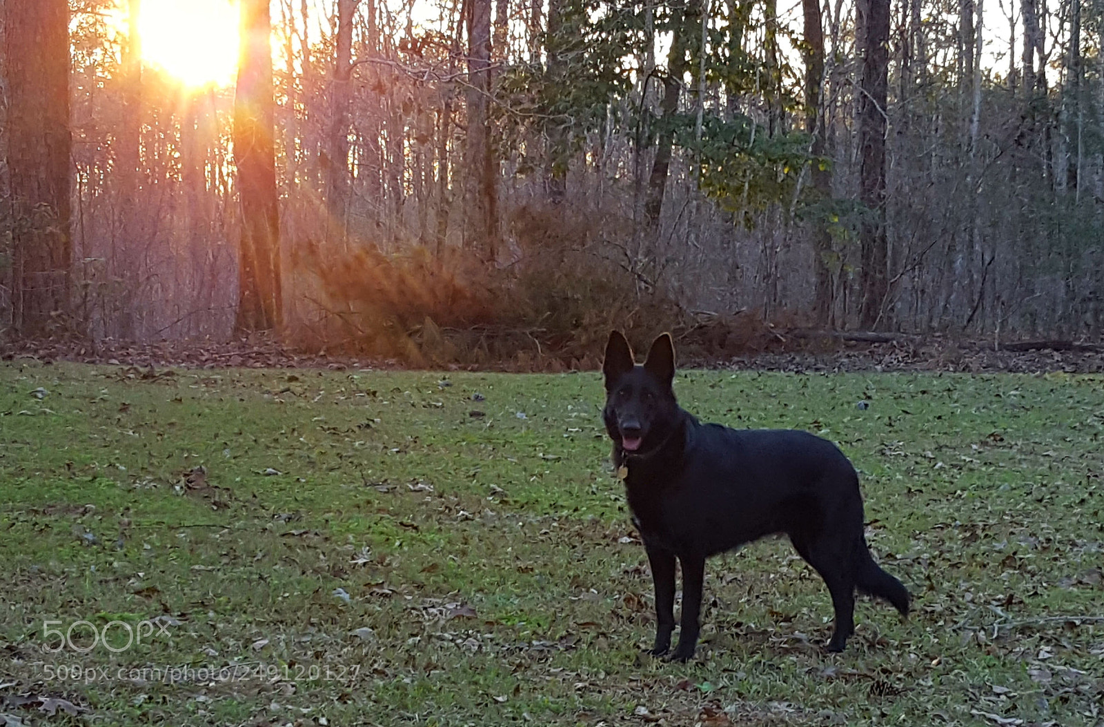 Samsung Galaxy S6 sample photo. Sundown with aggie photography