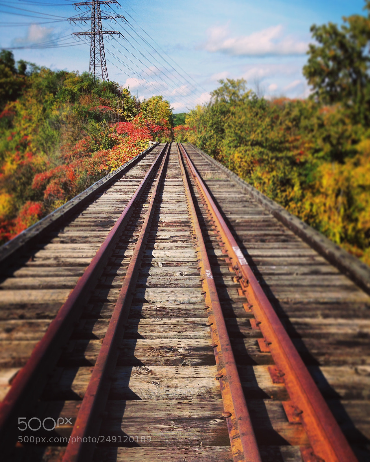 Apple iPhone 5c sample photo. Img photography