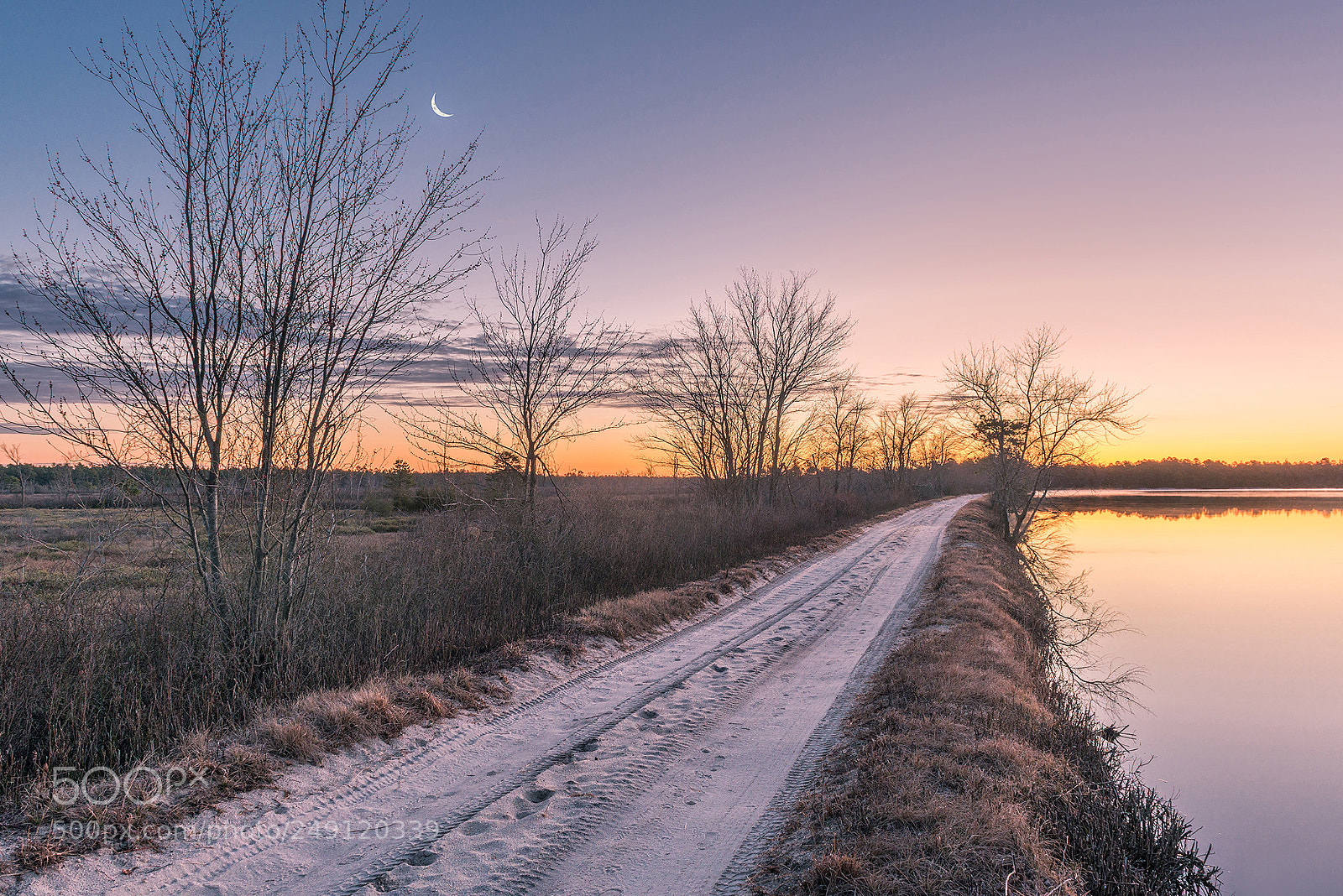 Nikon D800 sample photo. Whitesbog sunrise photography