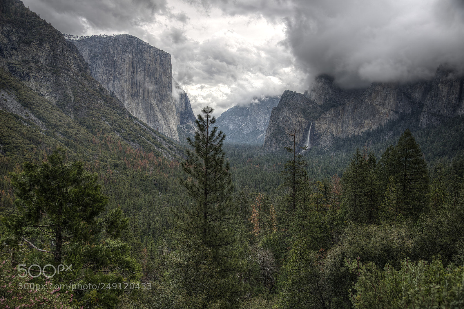 Nikon D800 sample photo. Bridal falls yosemite national photography