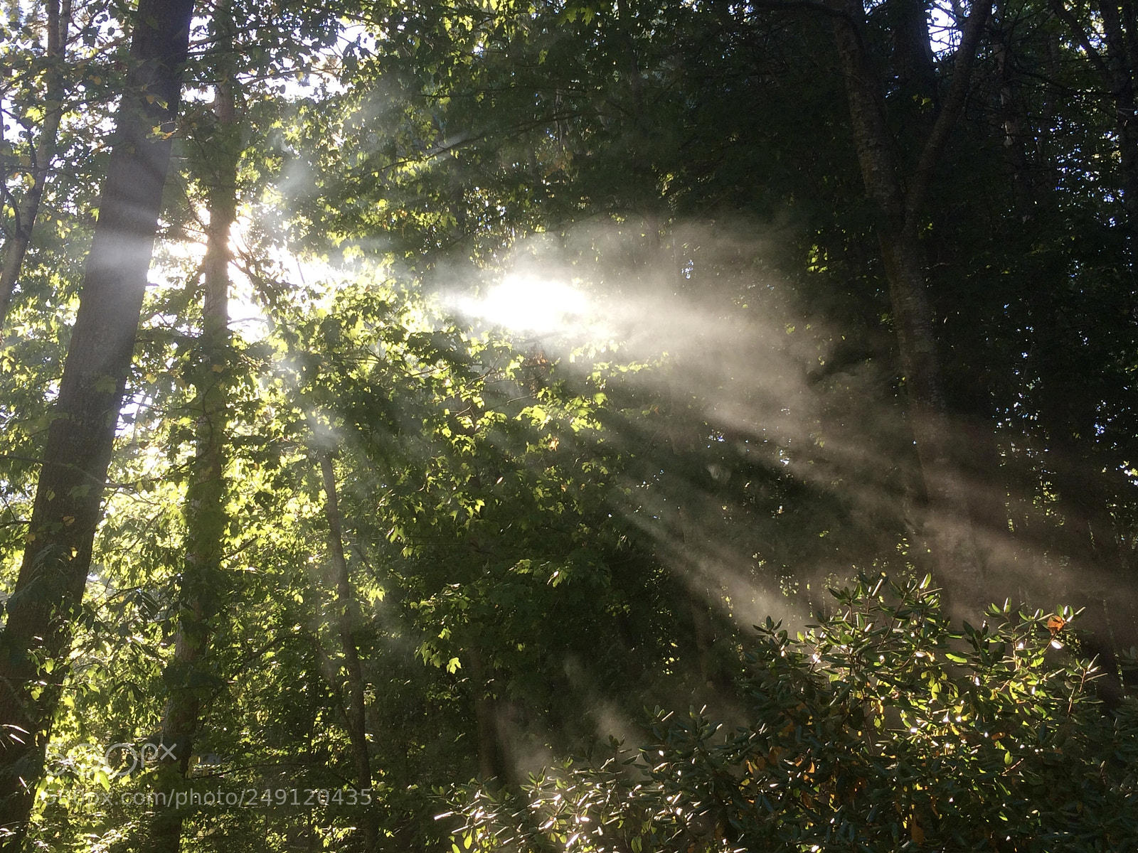Apple iPhone 5s sample photo. Smoke from barbecue grill photography