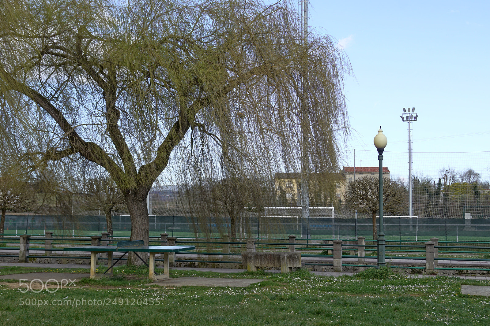 Sony SLT-A68 sample photo. Untitled photography