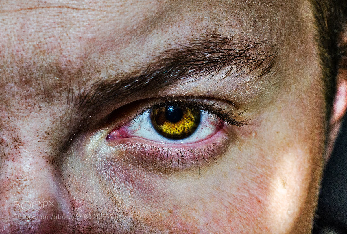 Nikon D5100 sample photo. Eye fb photography