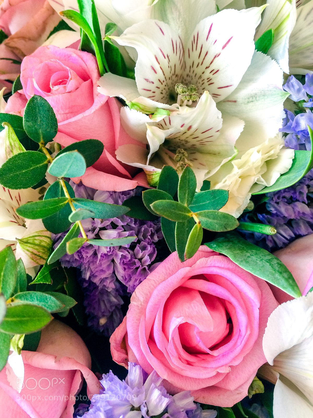 Apple iPhone 5s sample photo. Flowers photography