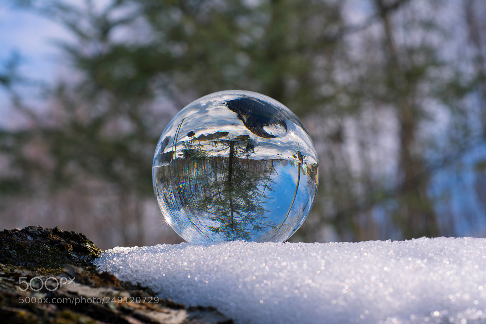 Nikon D7100 sample photo. Untitled photography