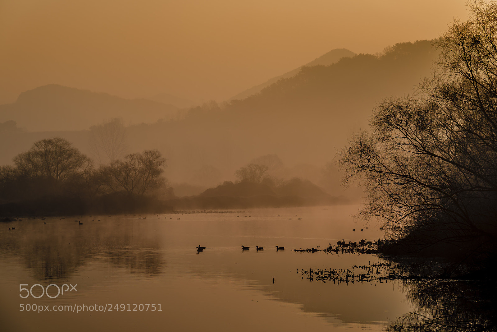 Nikon D800 sample photo. Foggy daybreak photography