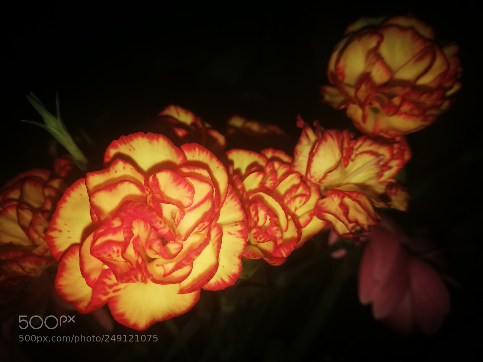 HUAWEI P9 sample photo. Untitled photography