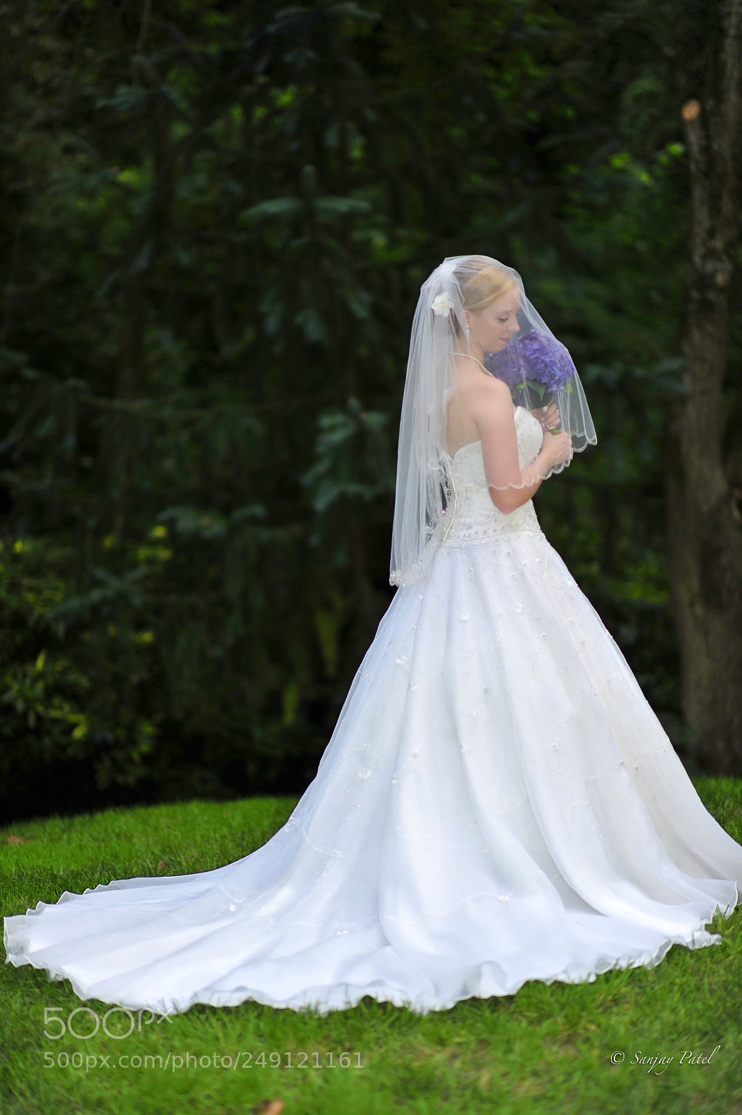Nikon D3S sample photo. Bridal shot photography
