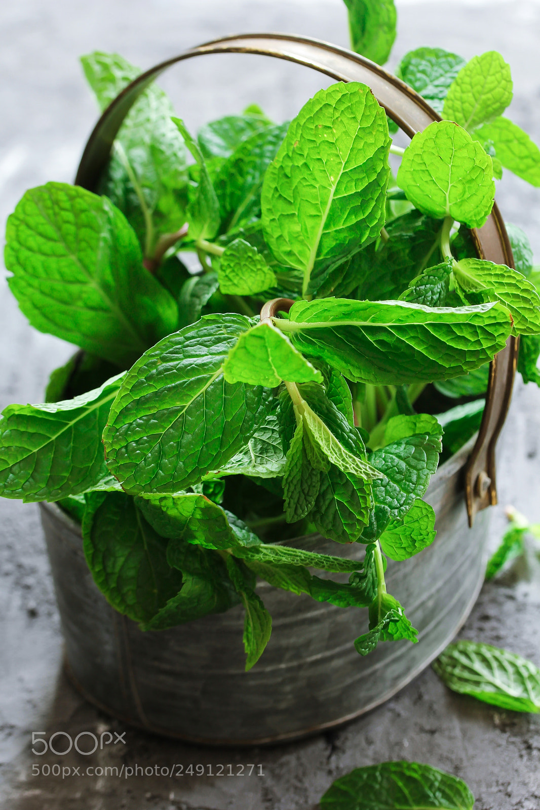 Canon EOS 60D sample photo. Fresh mint leaves photography