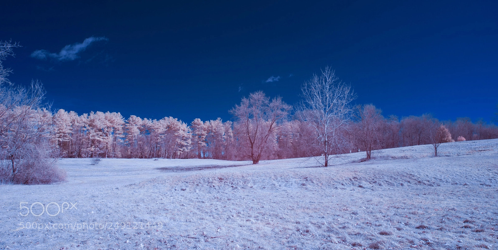 Nikon D40X sample photo. Winter wasteland ir photography