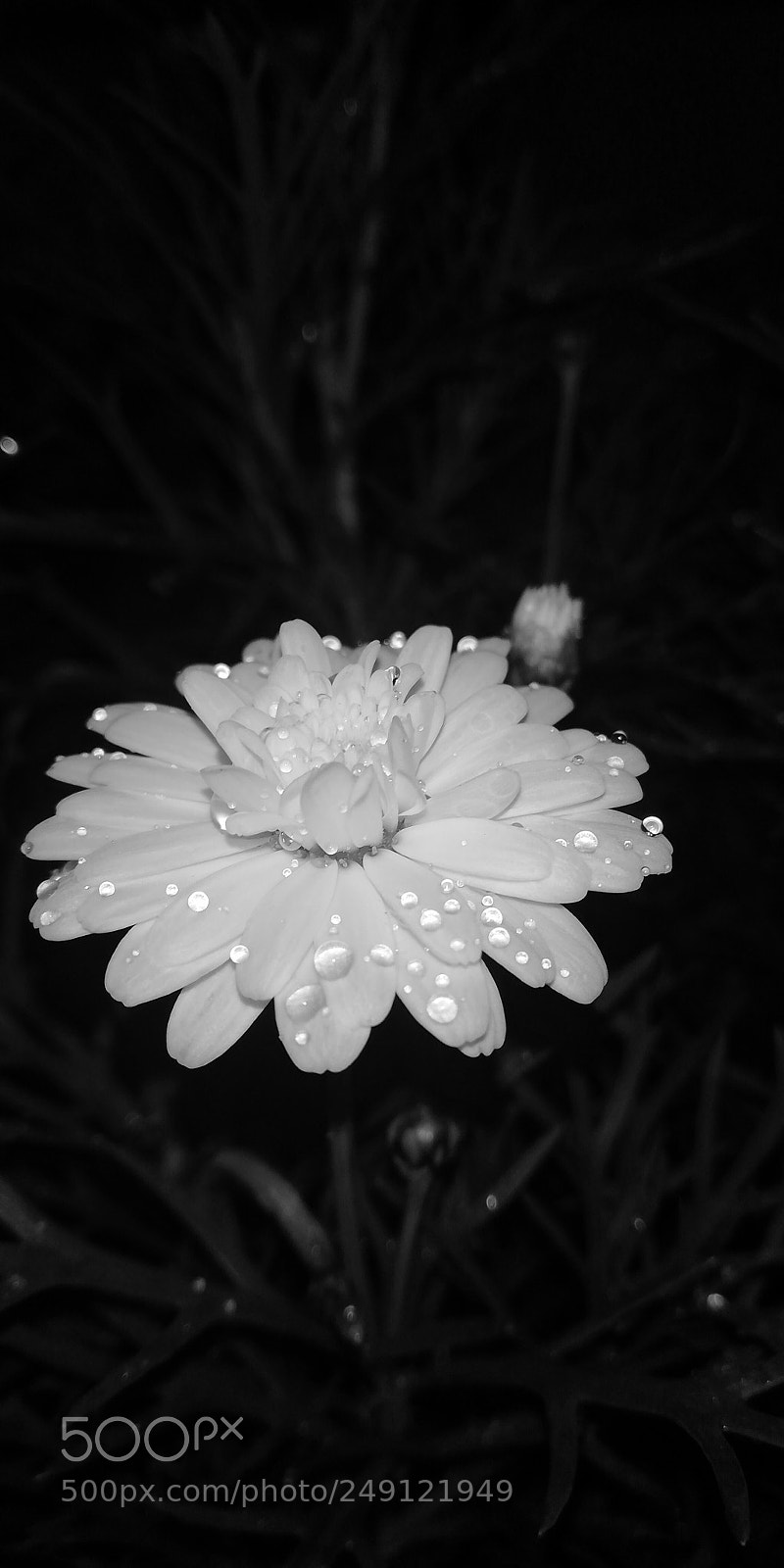 HUAWEI Mate 10 Lite sample photo. Darkness photography